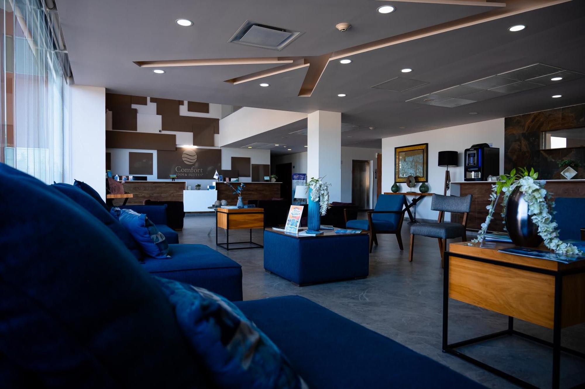 Comfort Inn & Suites Los Cabos Cabo San Lucas Dış mekan fotoğraf